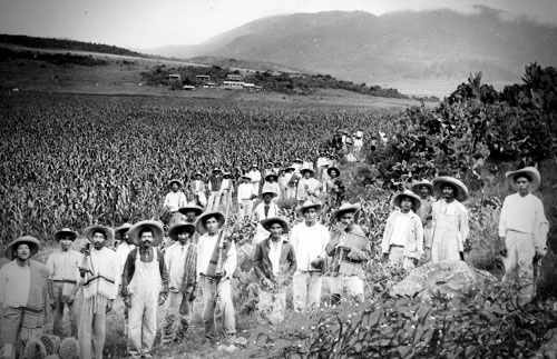 Portadilla de Campesinos y campesinas en el México posrevolucionario