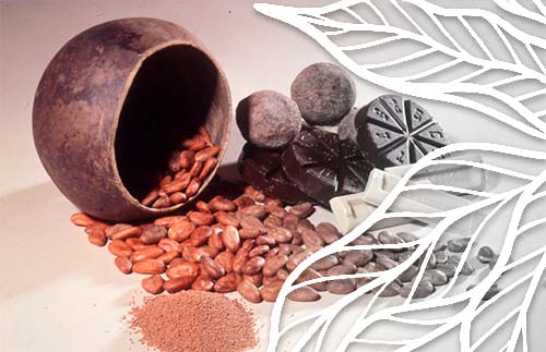 Portadilla de <p>Día Internacional del Cacao y el Chocolate</p>