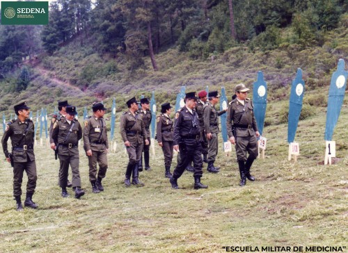 Imagen de El general Enrique Espino Mucharraz, director de la Escuela Médico Militar, con otros diez militares, revisa el campo para una práctica de tiro (atribuido)