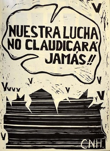 Imagen de Nuestra lucha no claudicará jamás (propio)