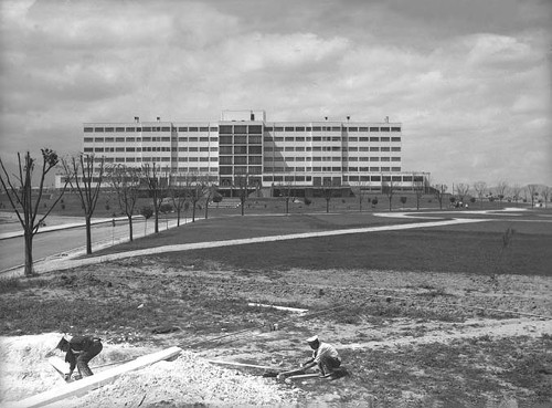 Imagen de Jardines en el Hospital Militar en las Lomas de Chapultepec (propio)