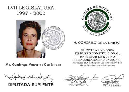 Imagen de Credencial de diputado federal