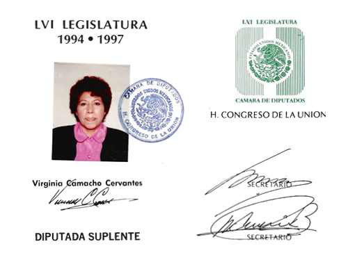 Imagen de Credencial de diputado federal