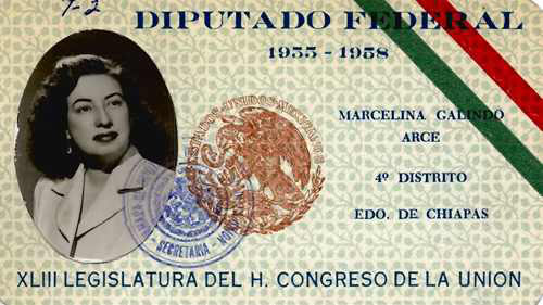 Imagen de Credencial de diputado federal