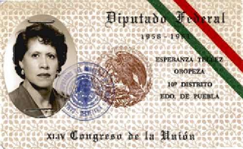Imagen de Credencial de diputado federal