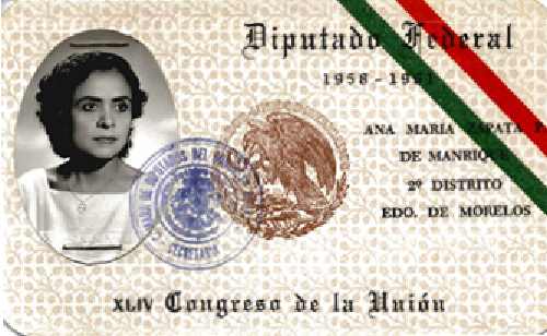 Imagen de Credencial de diputado federal
