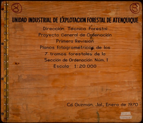 Imagen de Atenquique: Explotación Forestal I