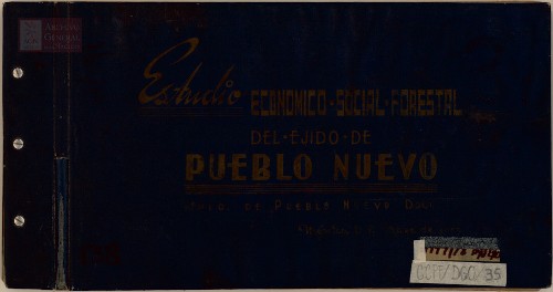 Imagen de Estudio forestal: Pueblo Nuevo