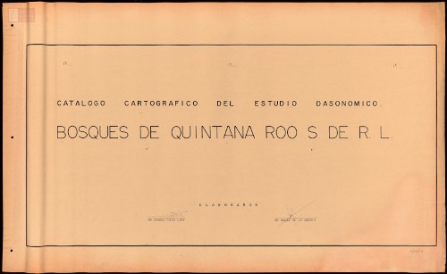 Imagen de Bosques de Quintana Roo