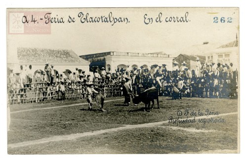 Imagen de "Feria de Tlacotalpan. En el Corral"