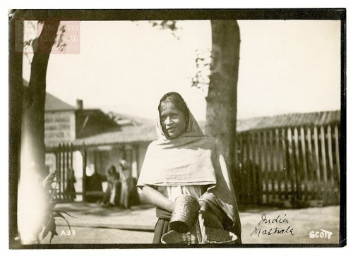Imagen de "India Maltrala"