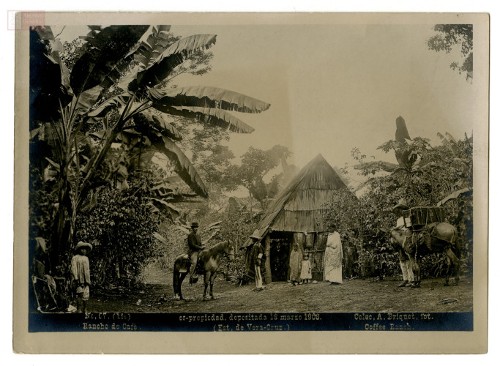 Imagen de "Rancho de Café"