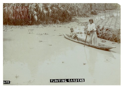Imagen de "Floating gardens"