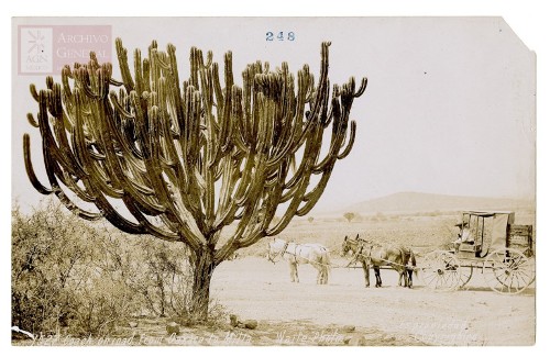 Imagen de "Coach on road from Oaxaca to Mitla"