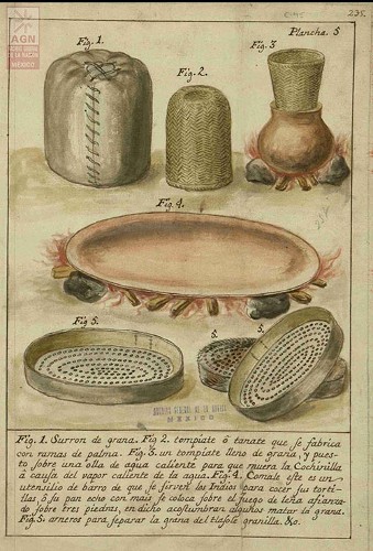 Imagen de Plancha 5, fig. 1. Zurrón de grana. Observaciones de José Antonio Álzate (atribuido)