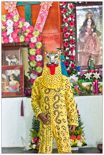 Imagen de Tigre en Corpus Christi (atribuido)
