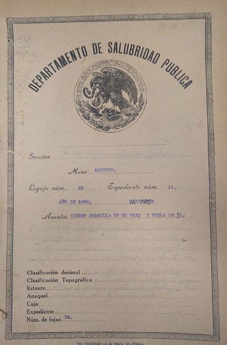 Imagen de Epidemia de fiebre amarilla (propio)