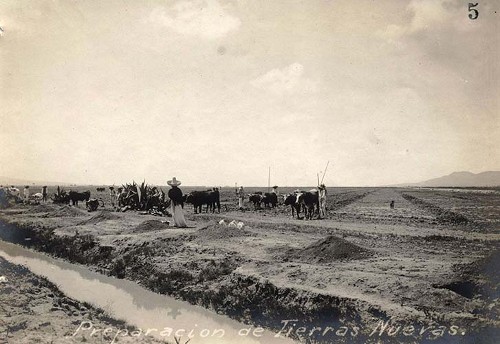 Imagen de Preparación de tierras nuevas en la hacienda de Santa Inés (atribuido)