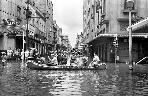 Imagen de Paseo en canoa por el centro de la Ciudad de México (propio)