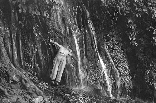 Imagen de La cascada (propio)