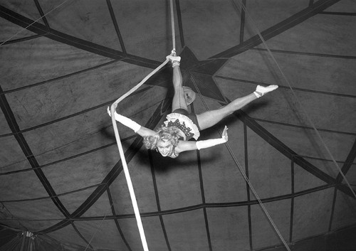 Imagen de Acróbata del Circo Atayde Hermanos (propio)