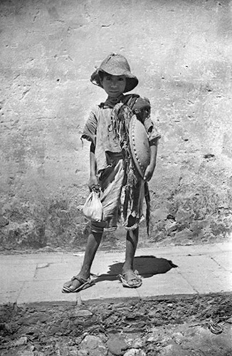 Imagen de Un pequeño Quijote (propio)