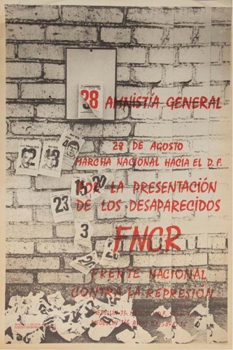 Imagen de Amnistía general (propio)