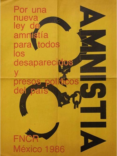 Imagen de Amnistía (propio)