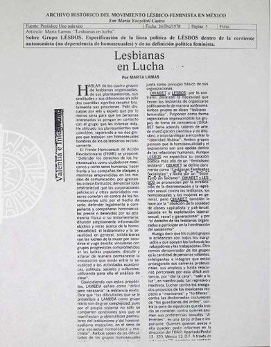 Imagen de Lesbianas en lucha (propio)