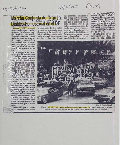 Imagen de Marcha conjunta de orgullo lésbico-homosexual en el DF (propio)