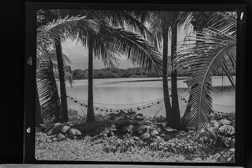 Imagen de Fotografía del paisaje marino en Acapulco, Guerrero (atribuido)