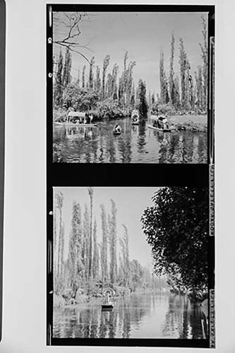 Imagen de Chinampas y trajineras, la vida cotidiana y tradiciones en Xochimilco, Ciudad de México (atribuido)