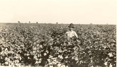 Imagen de Sin título