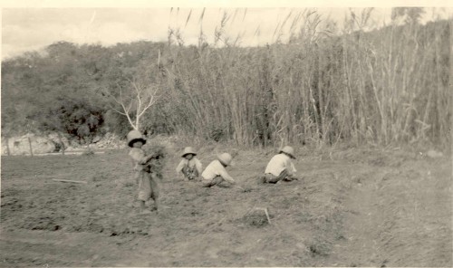 Imagen de Sin título