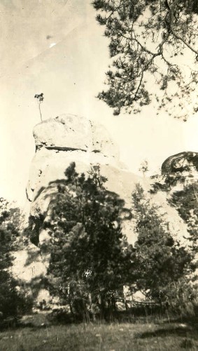 Imagen de Sin título