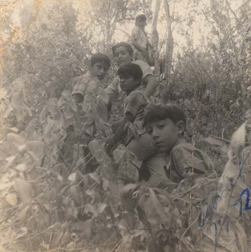 Imagen de Niños en el monte (atribuido)