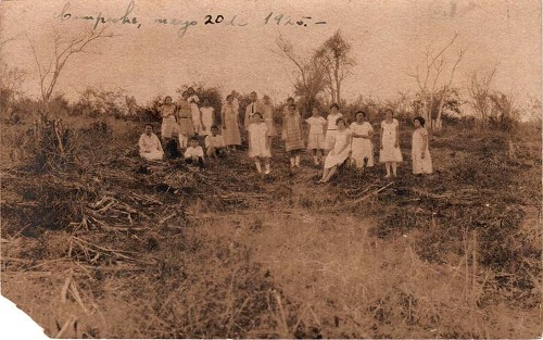 Imagen de Grupo de maestras (atribuido)
