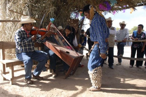 Imagen de Músicos y danzante de pascola en el aniversario de la radio XEETCH La Voz de los Tres Ríos. Pueblo makurawe (guarijío) (atribuido)