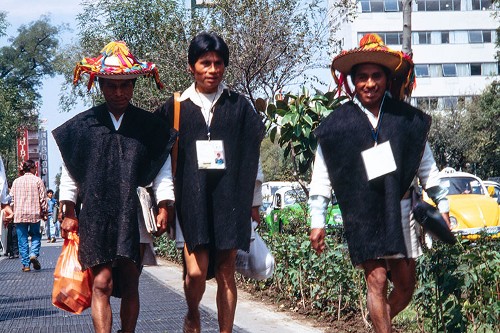Imagen de Hombres dirigiéndose al Primer Congreso Nacional Indígena (propio)