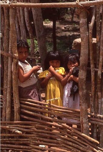 Imagen de Niñas mayas (atribuido)