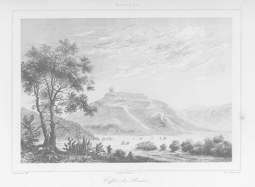 Imagen de [Illustrations de Mexique et Guatemala, Pérou] / Vanderburch, Arnout, Vernier... [et al.], dess.; Traversier, Alès, Bigant... [et al.], grav.; P.F. de Larenaudière, F. Lacroix, aut. du texte