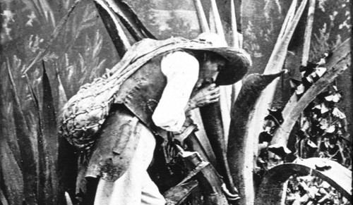 Imagen de Mexique. 22, [Nachiquero?] Mexique / [mission] Bouquet de la Grye; [photogr.] Bouquet de la Grye?; [photogr. reprod. par] Molténi [pour la conférence donnée par] Bouquet de la Grye