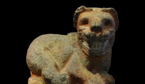 Imagen de Jaguar (propio)