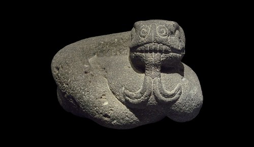 Imagen de Serpiente de cascabel (propio)