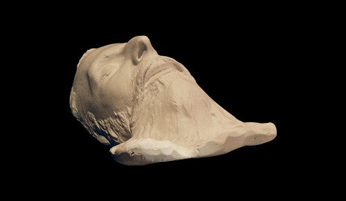 Imagen de Máscara mortuoria de Maximiliano (propio)
