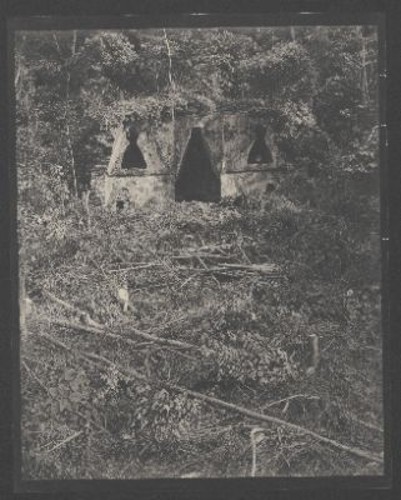 Imagen de Palenque III