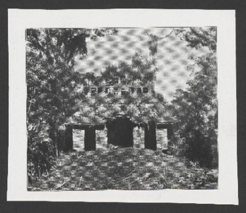 Imagen de Palenque IV