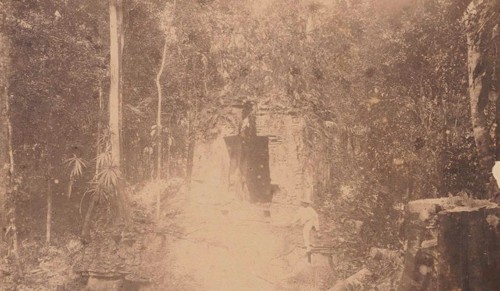 Imagen de Yaxchilán V: Keramik, Statuen, Steine und Aufnahmen Dritter / Chiapas