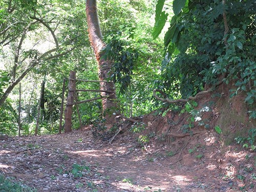 Imagen de Sendero de El Quemado (propio)