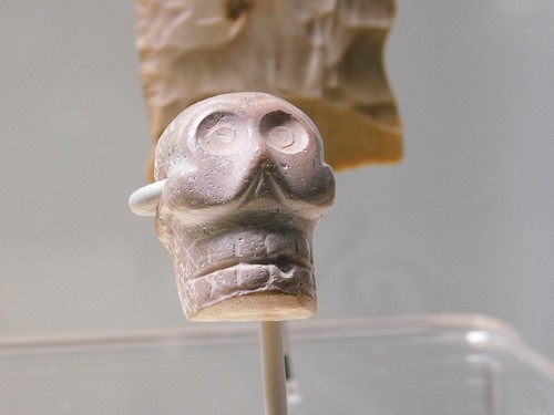 Imagen de Cráneo humano (atribuido)